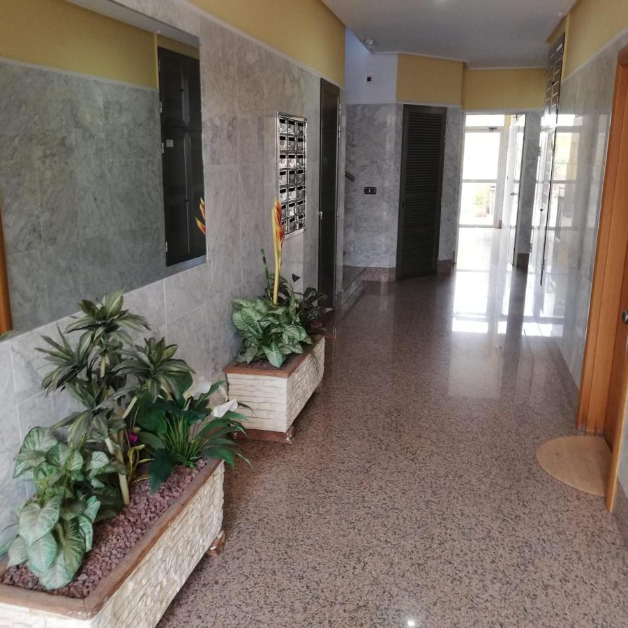 Apartamento A 50 Metros De La Playa Muchavista 坎佩略 外观 照片